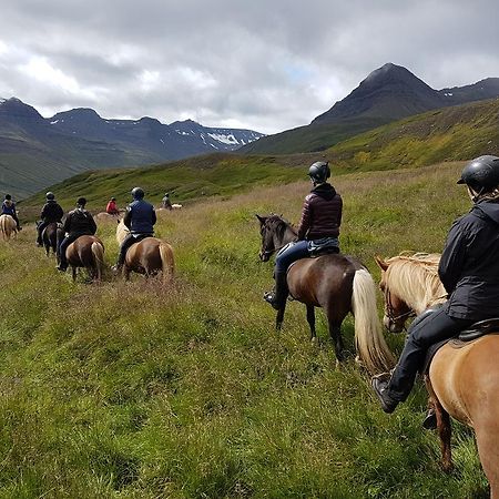 Skorrahestar Villa Neskaupstaður Exteriör bild