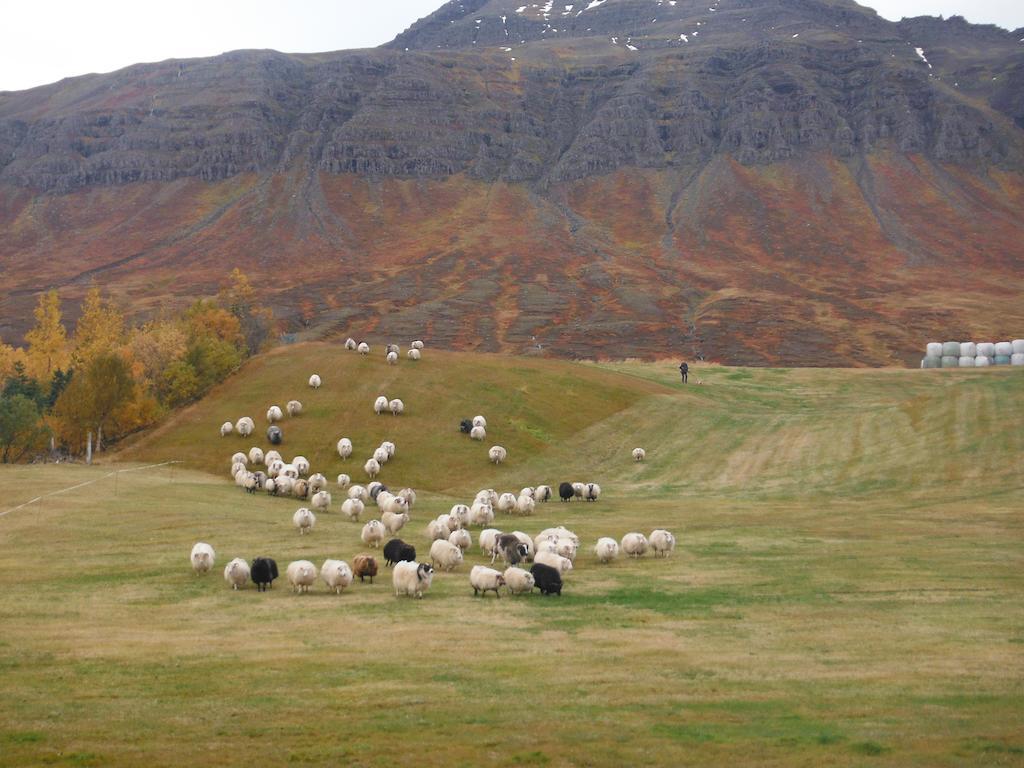 Skorrahestar Villa Neskaupstaður Exteriör bild
