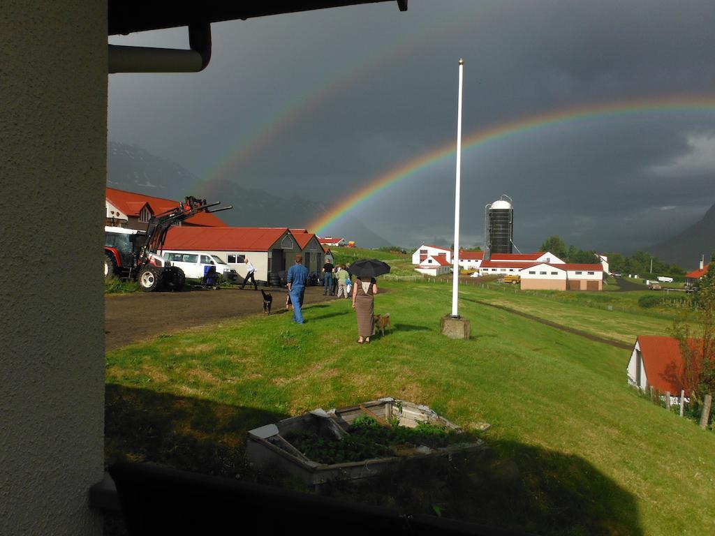 Skorrahestar Villa Neskaupstaður Rum bild