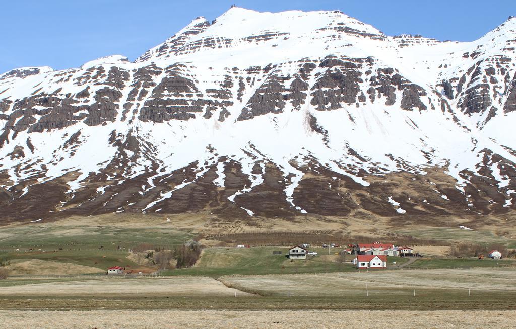 Skorrahestar Villa Neskaupstaður Exteriör bild