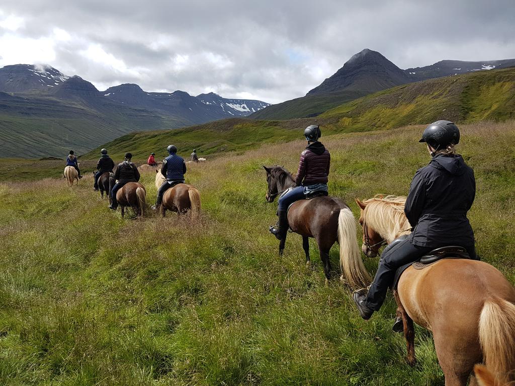 Skorrahestar Villa Neskaupstaður Exteriör bild